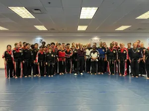 Martial Arts Weaponry Expert