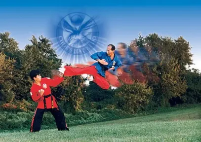 Martial Arts Master