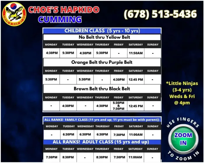 Cumming Karate, Try Karate Classes