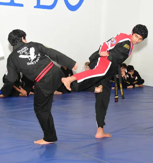 Karate for Teens