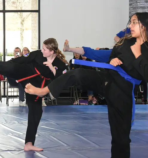 Martial Arts Training for Teens