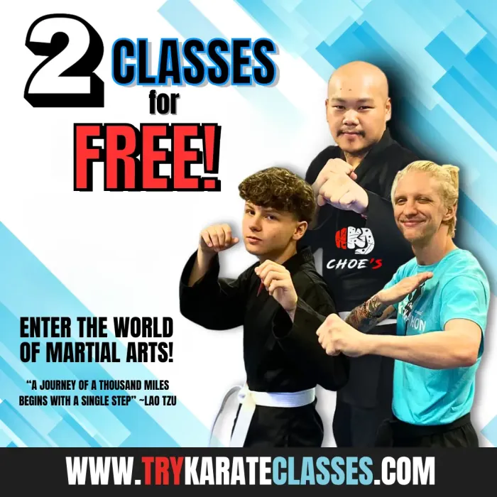 Dahlonega Karate, Try Karate Classes