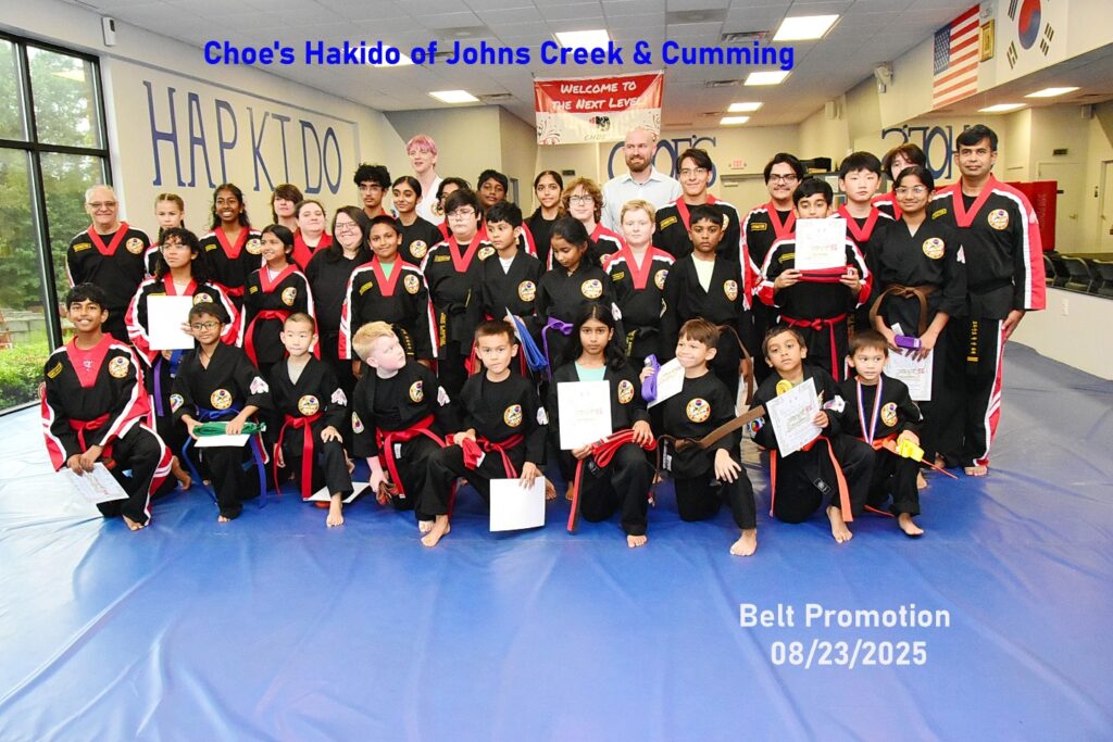 Family Friendly Martial Arts Cumming
