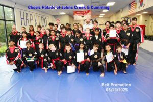 Family Friendly Martial Arts Cumming