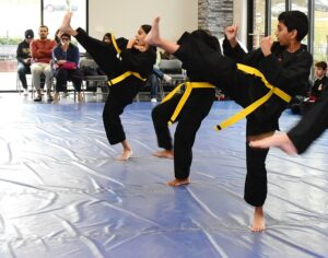 martial arts fitness