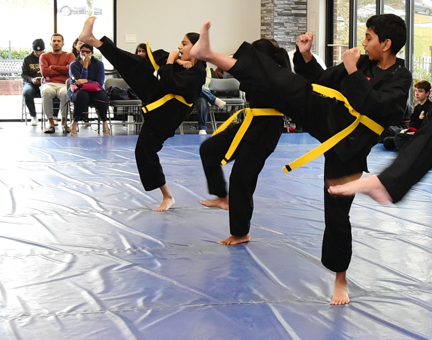 martial arts fitness