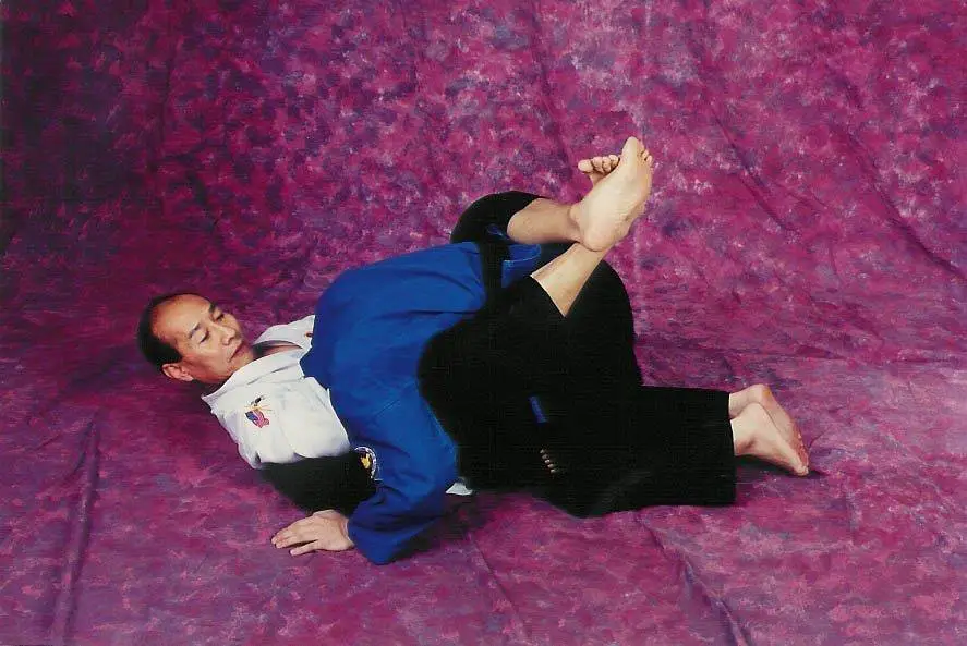 HapKiDo compared to BJJ Grandmaster JiMong Choe Ground Fighting