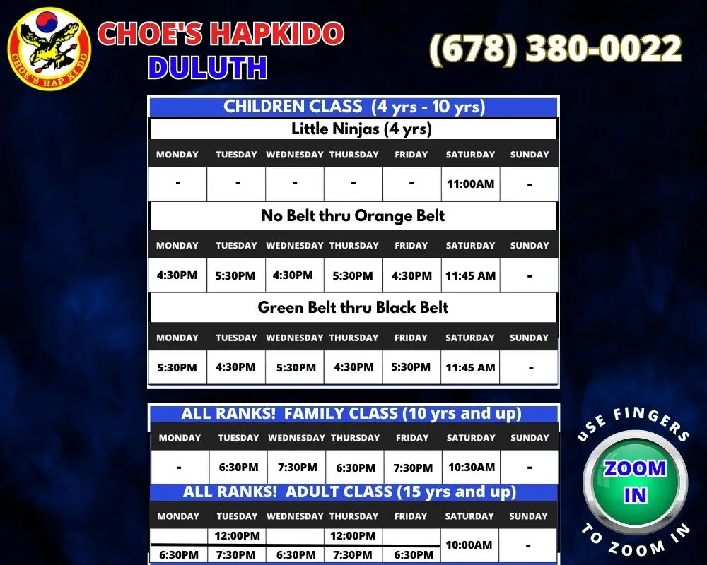 Martial Arts Duluth GA Schedule