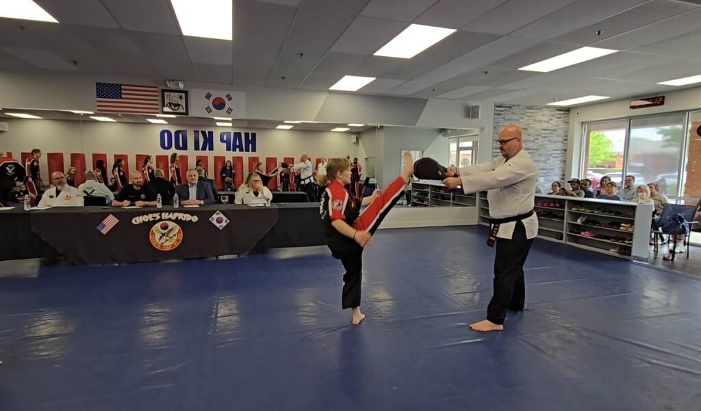 martial arts flowery branch georgia