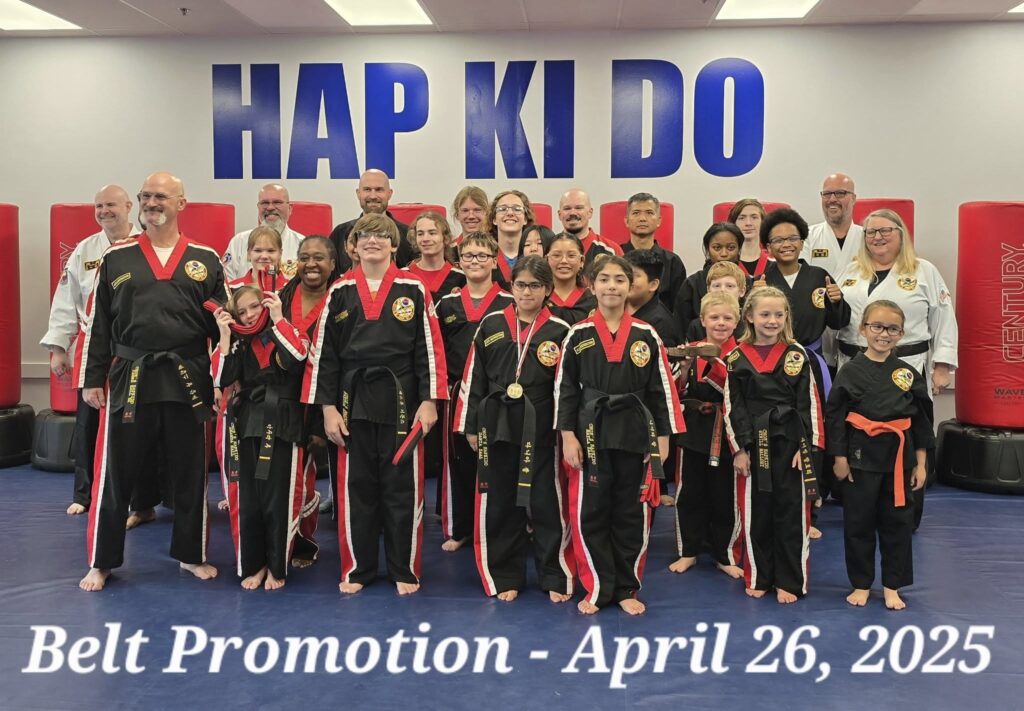 martial arts flowery branch georgia